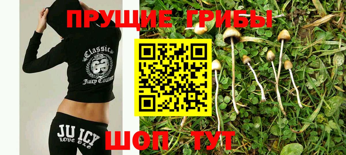 Галлюциногенные грибы ЛСД  Вход с VPN  как найти   Скопин 